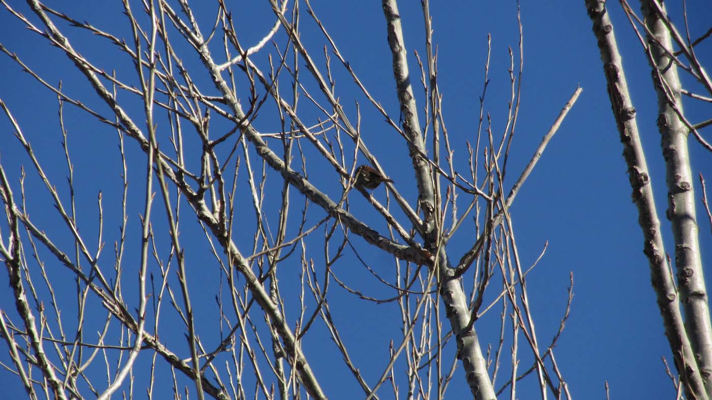 1_14_.jpg (1400×787)