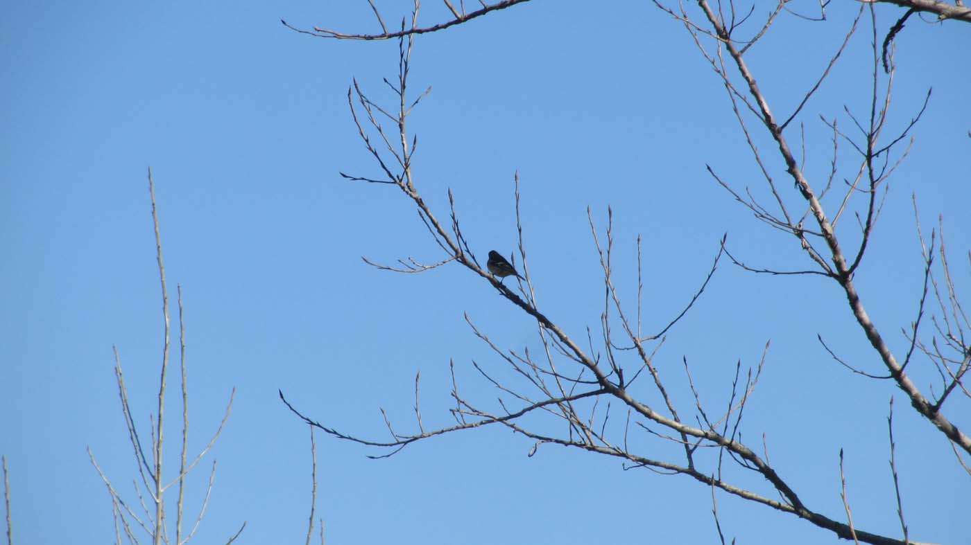 1_15_.jpg (1400×787)