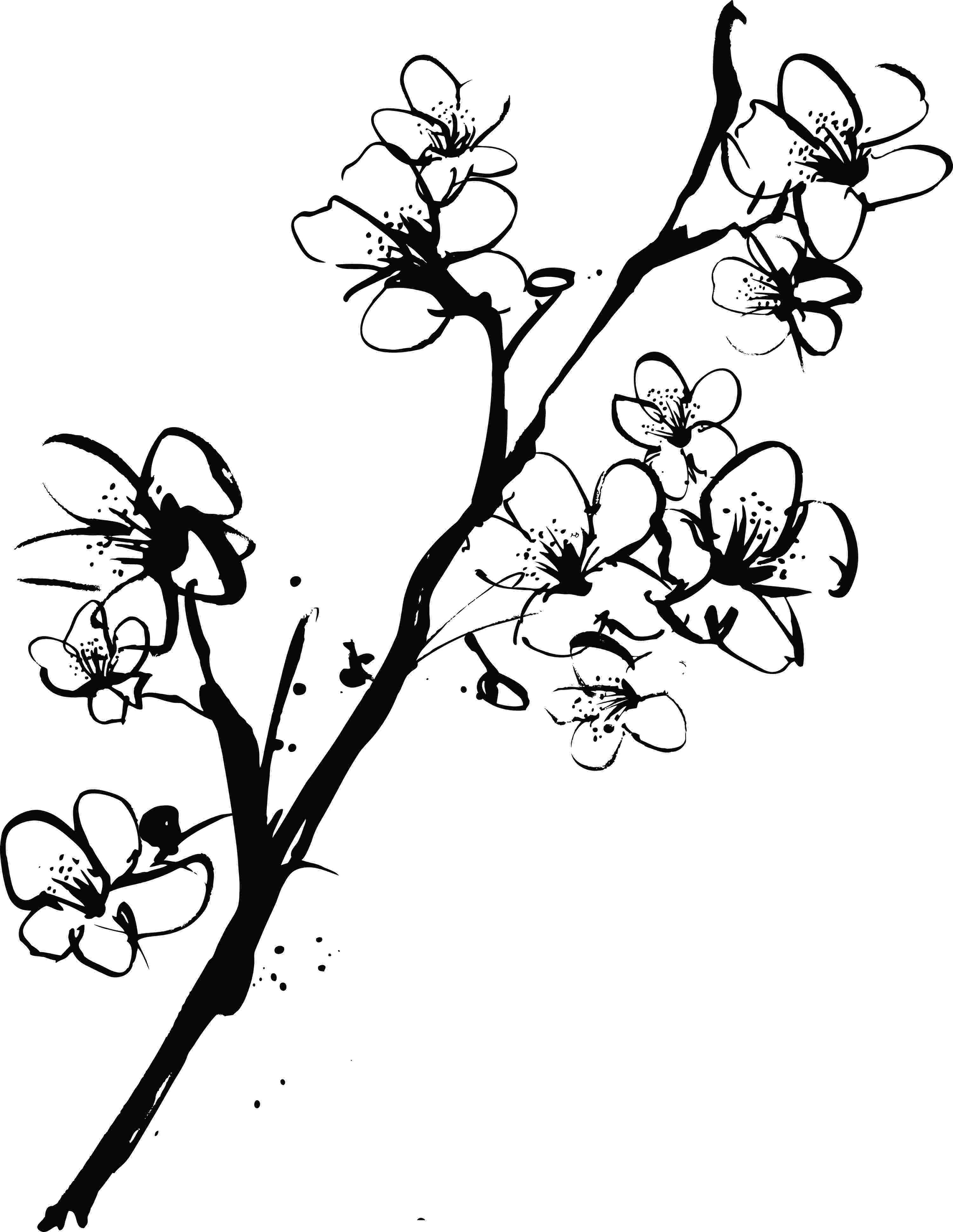 http://s2.picofile.com/file/8286160334/_11_.jpg