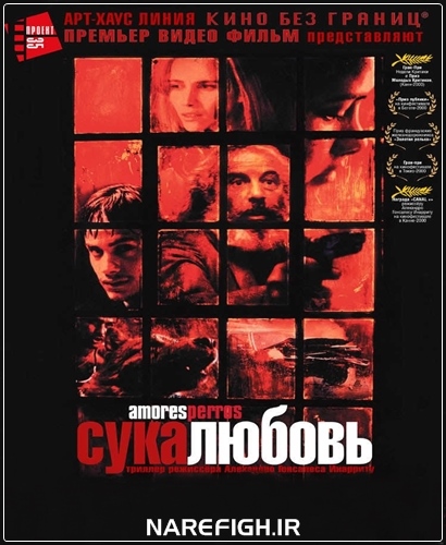 دانلود فیلم سینمایی Amores Perros 2000 با لینک مستقیم دانلود فیلم سینمایی Amores Perros 2000 با لینک مستقیم