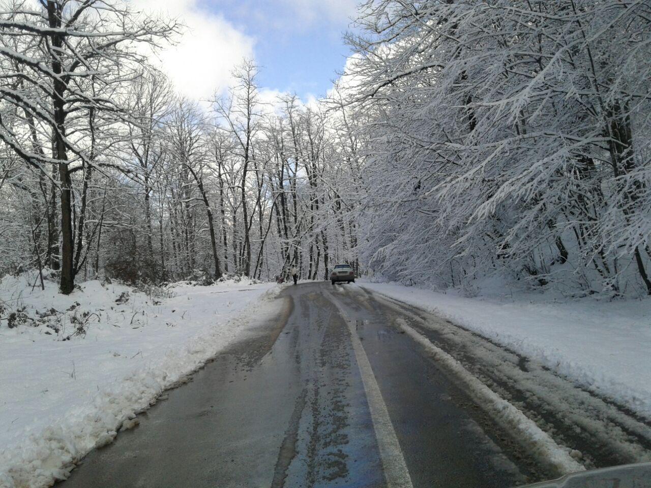 1_11_.jpg (1280×960)