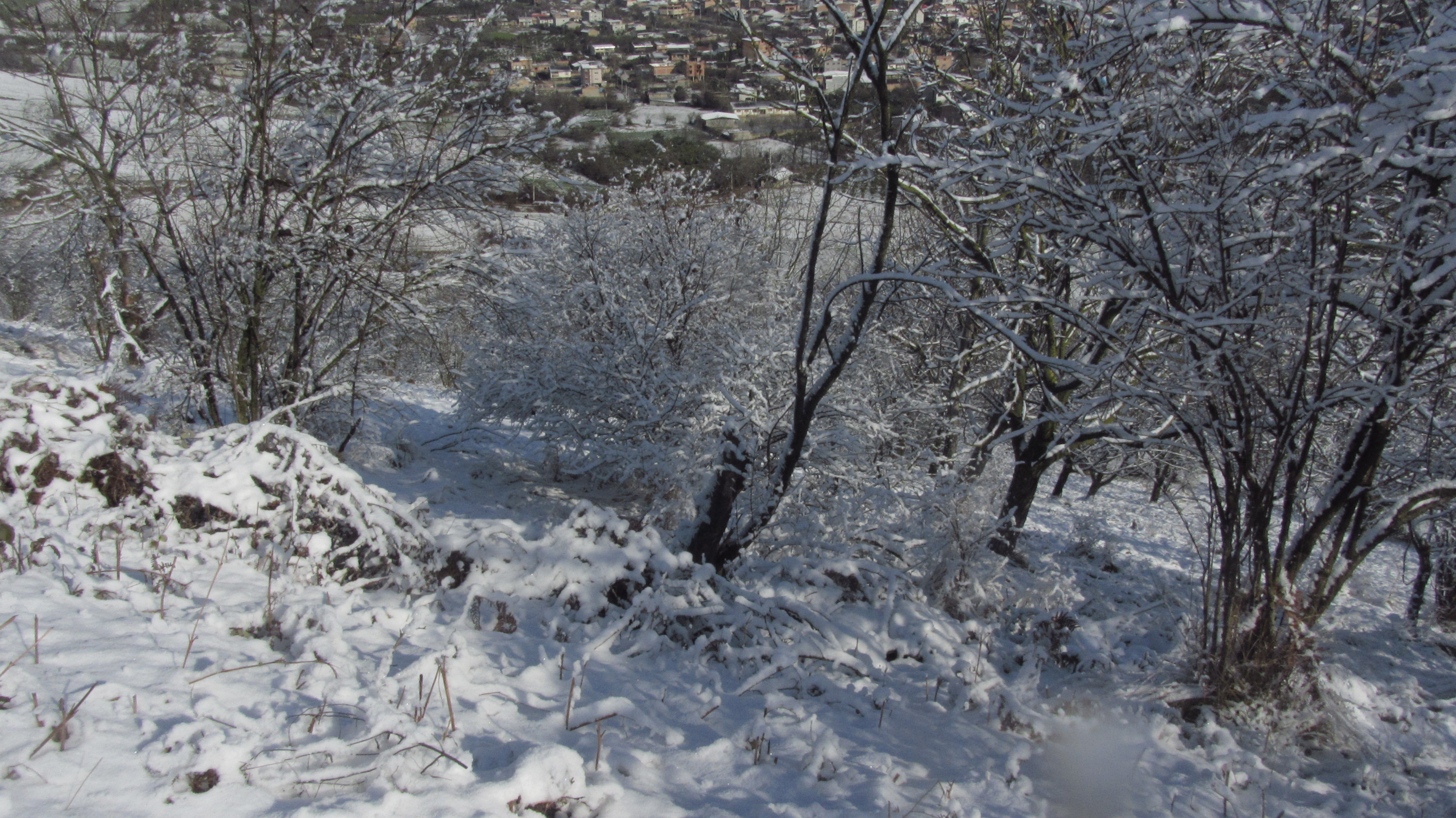 100.JPG (4000×2248)