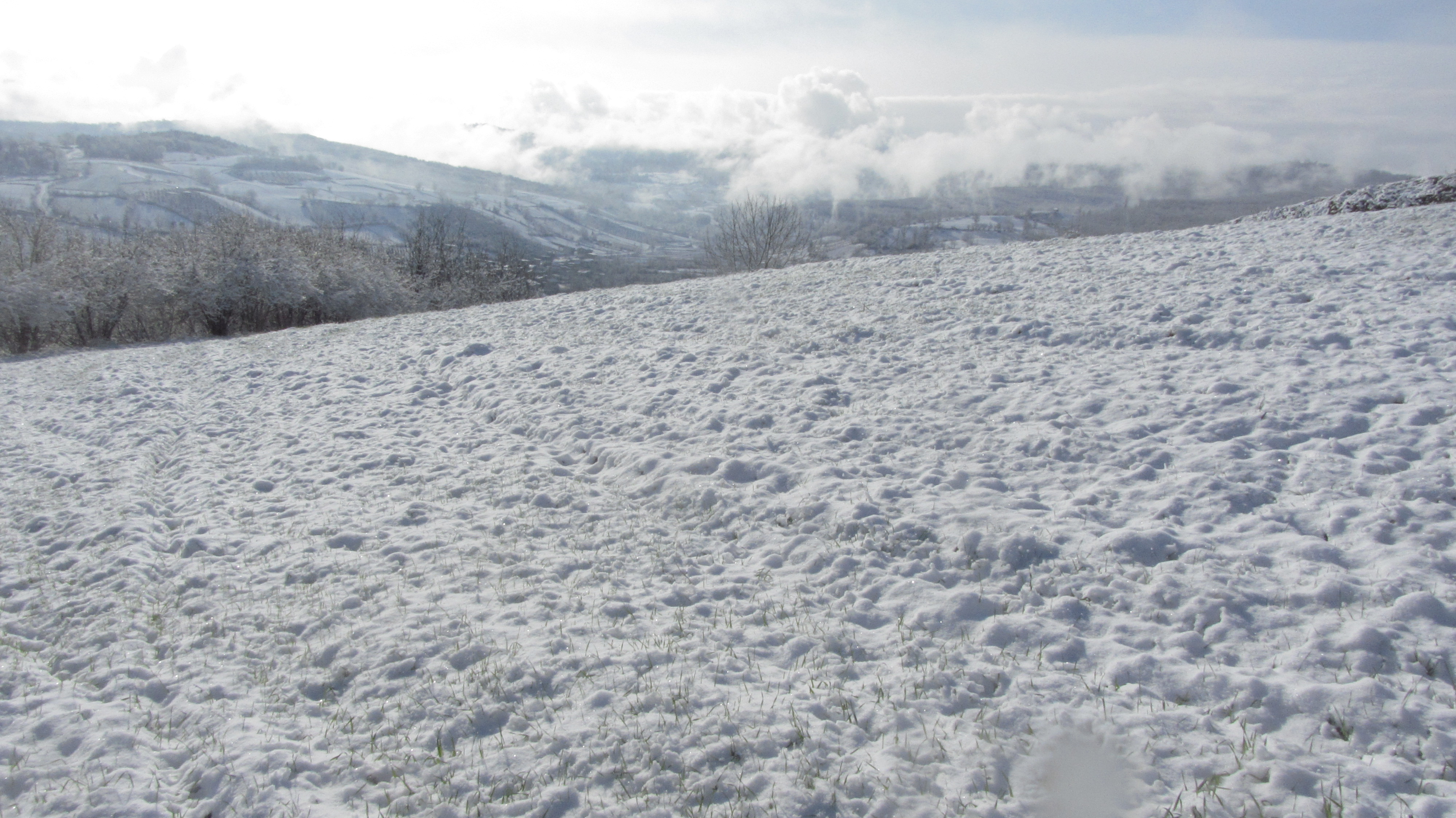 101.JPG (4000×2248)