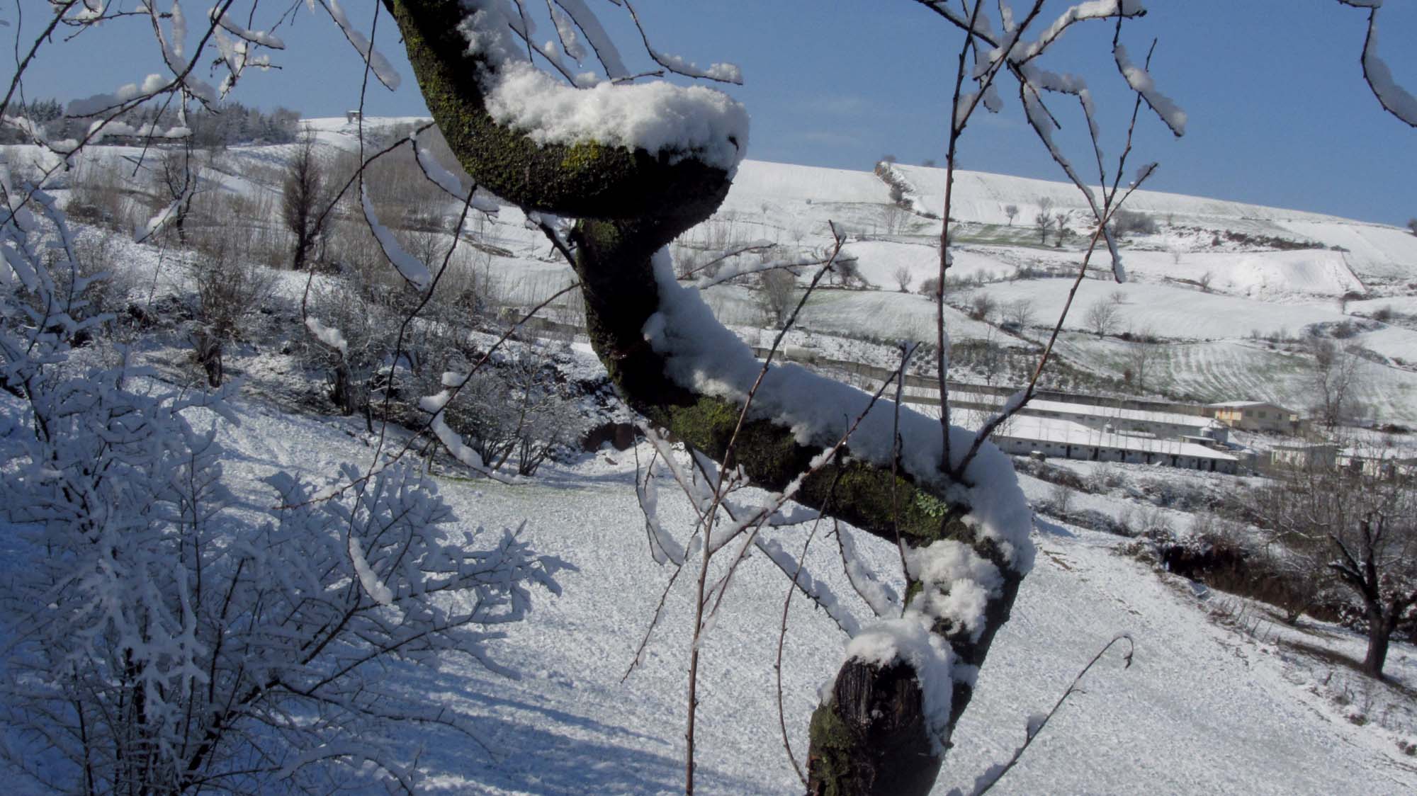 137.JPG (2000×1124)