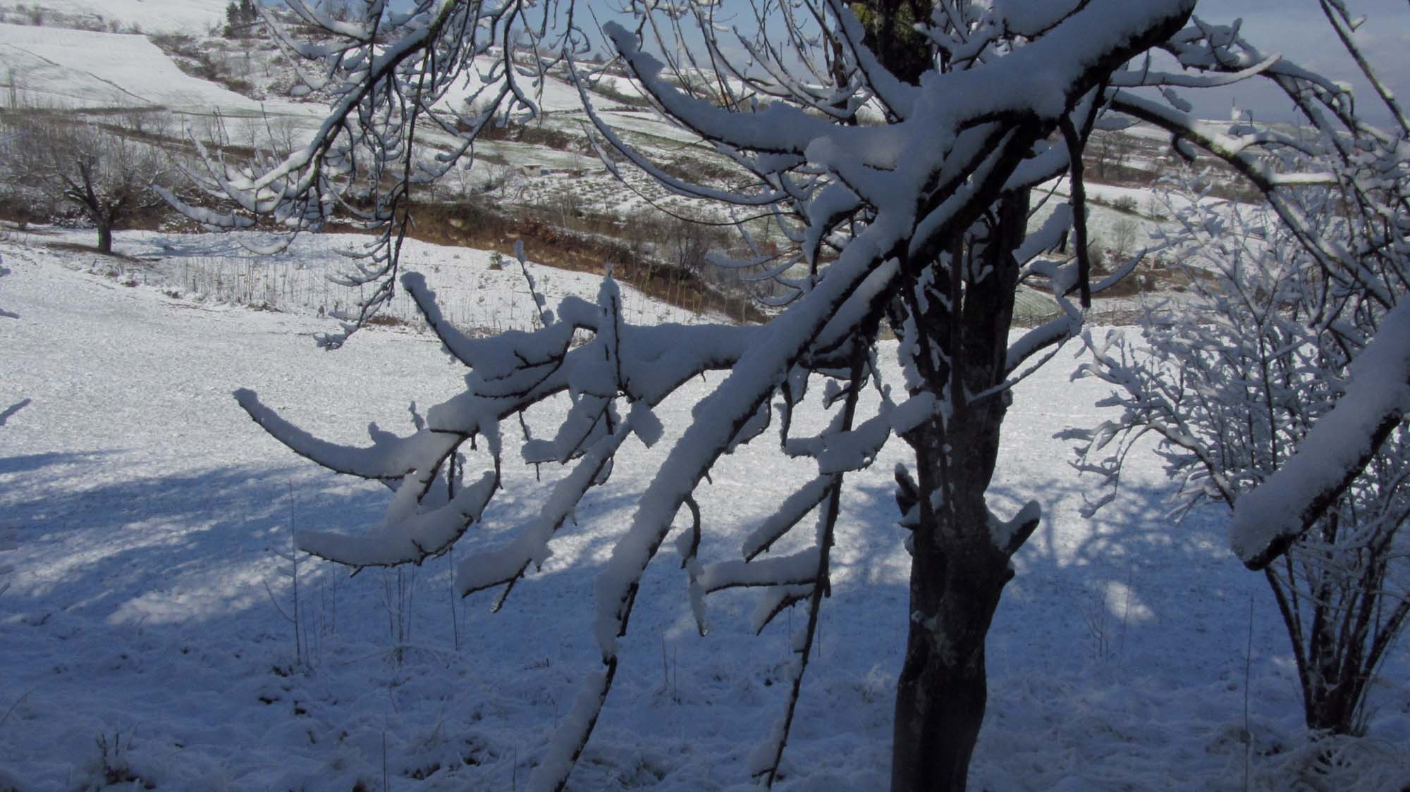 148.JPG (2000×1124)