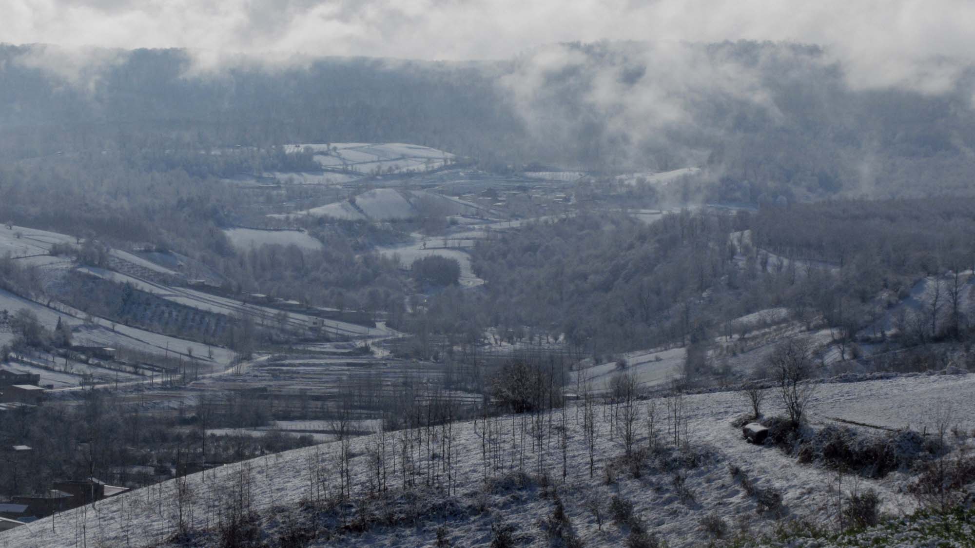 155.JPG (2000×1124)