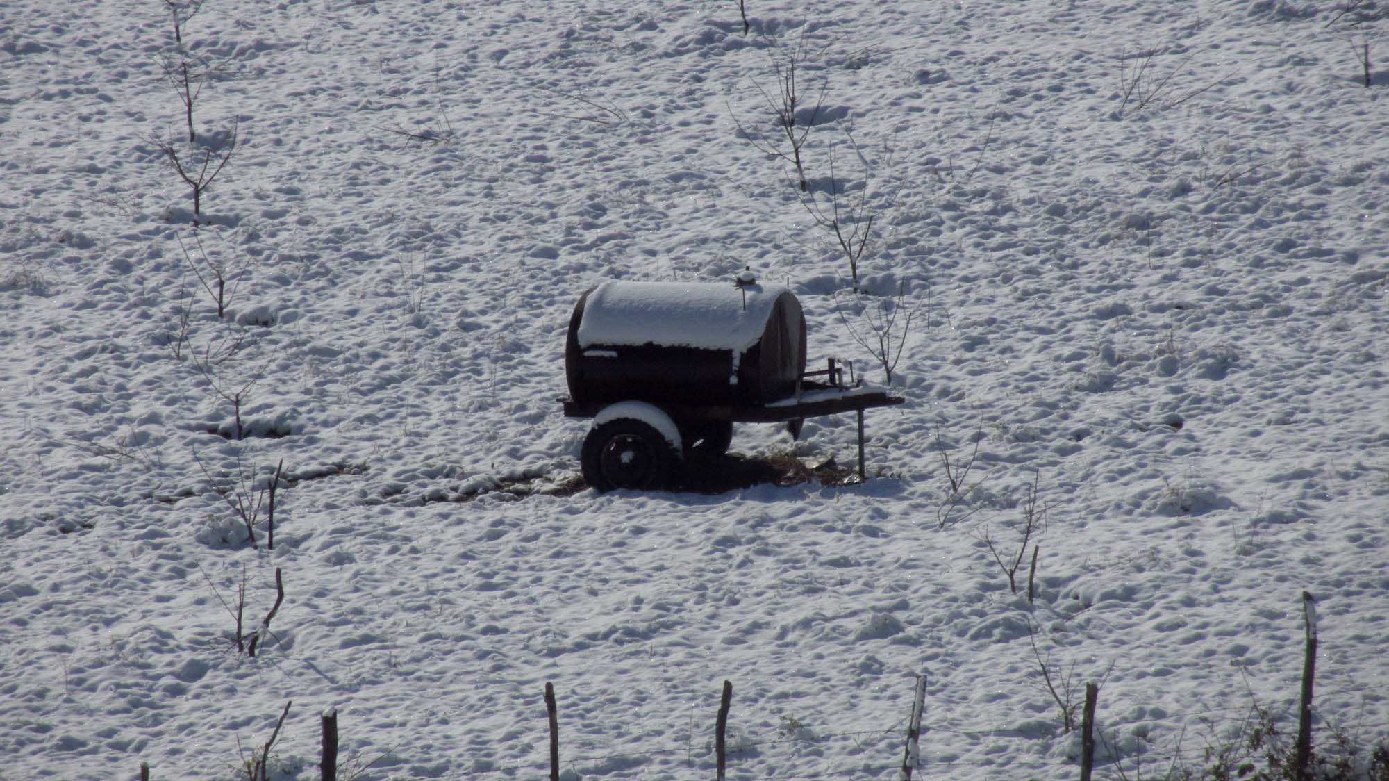 163.JPG (2000×1124)