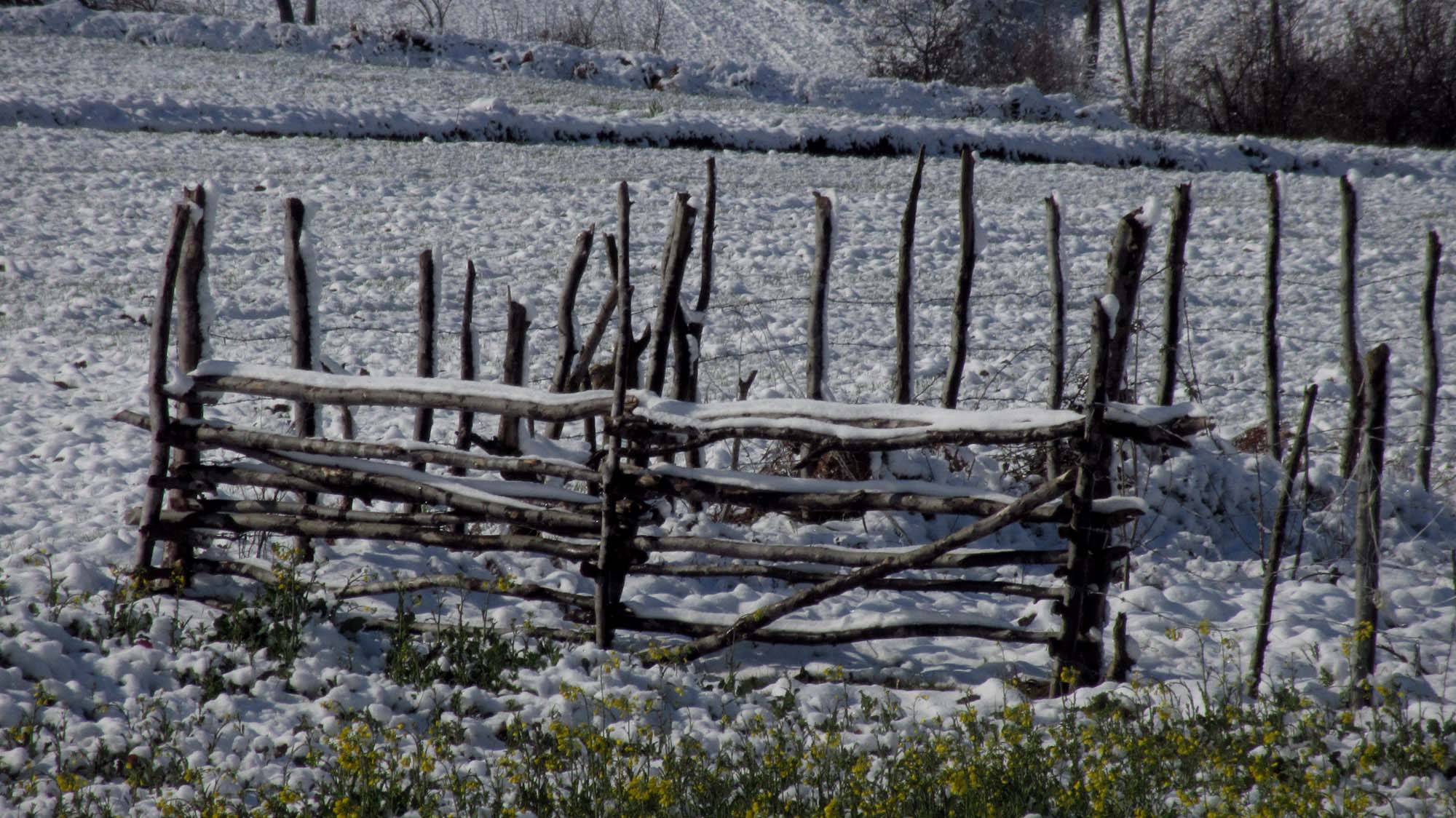 164.JPG (2000×1124)