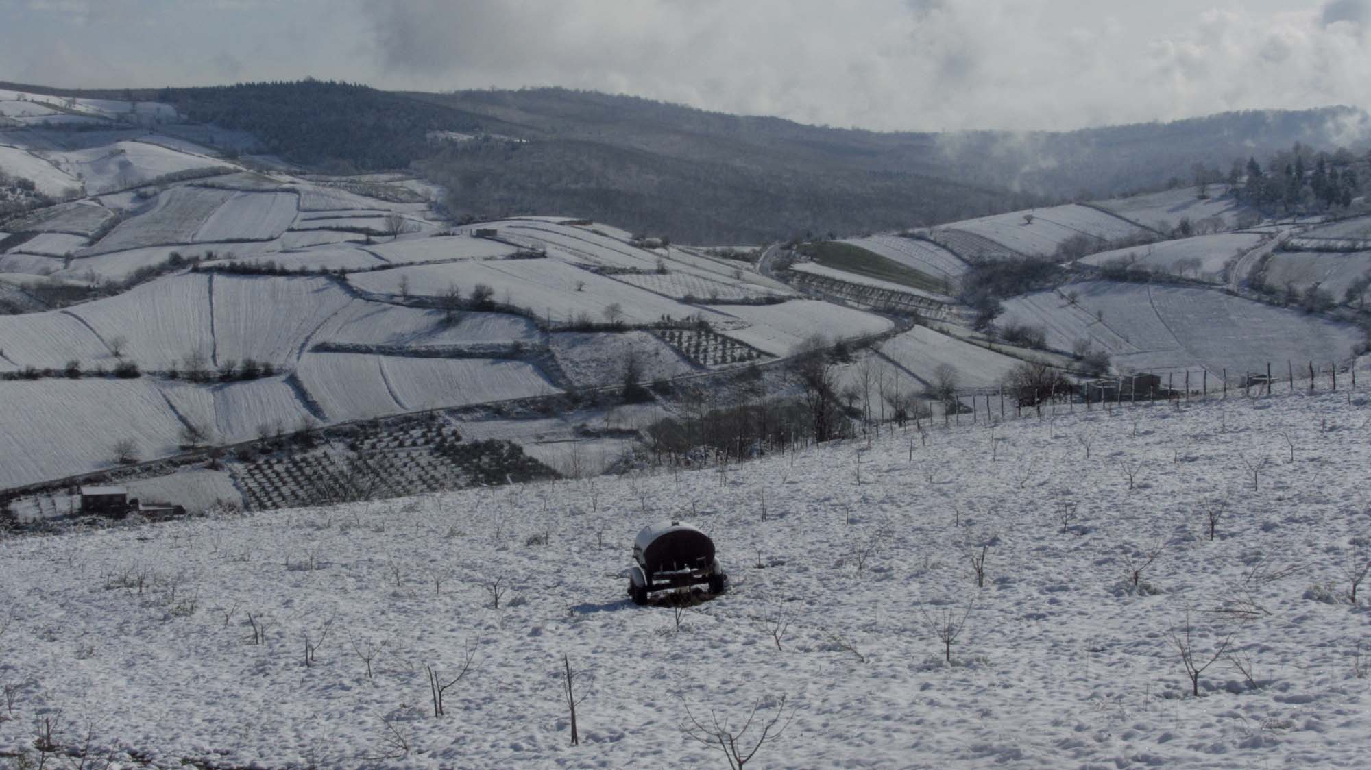 169.JPG (2000×1124)