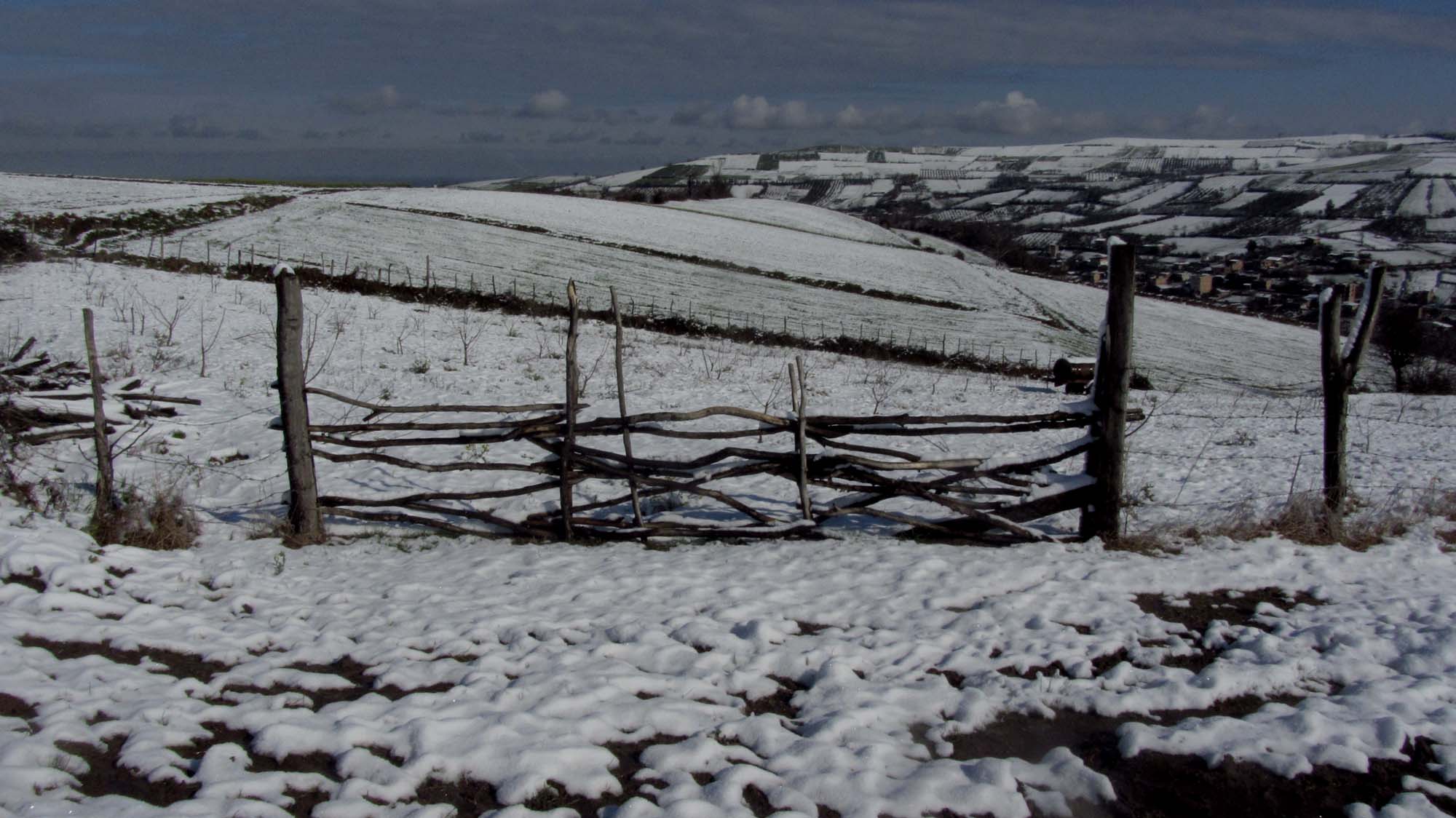 171.JPG (2000×1124)