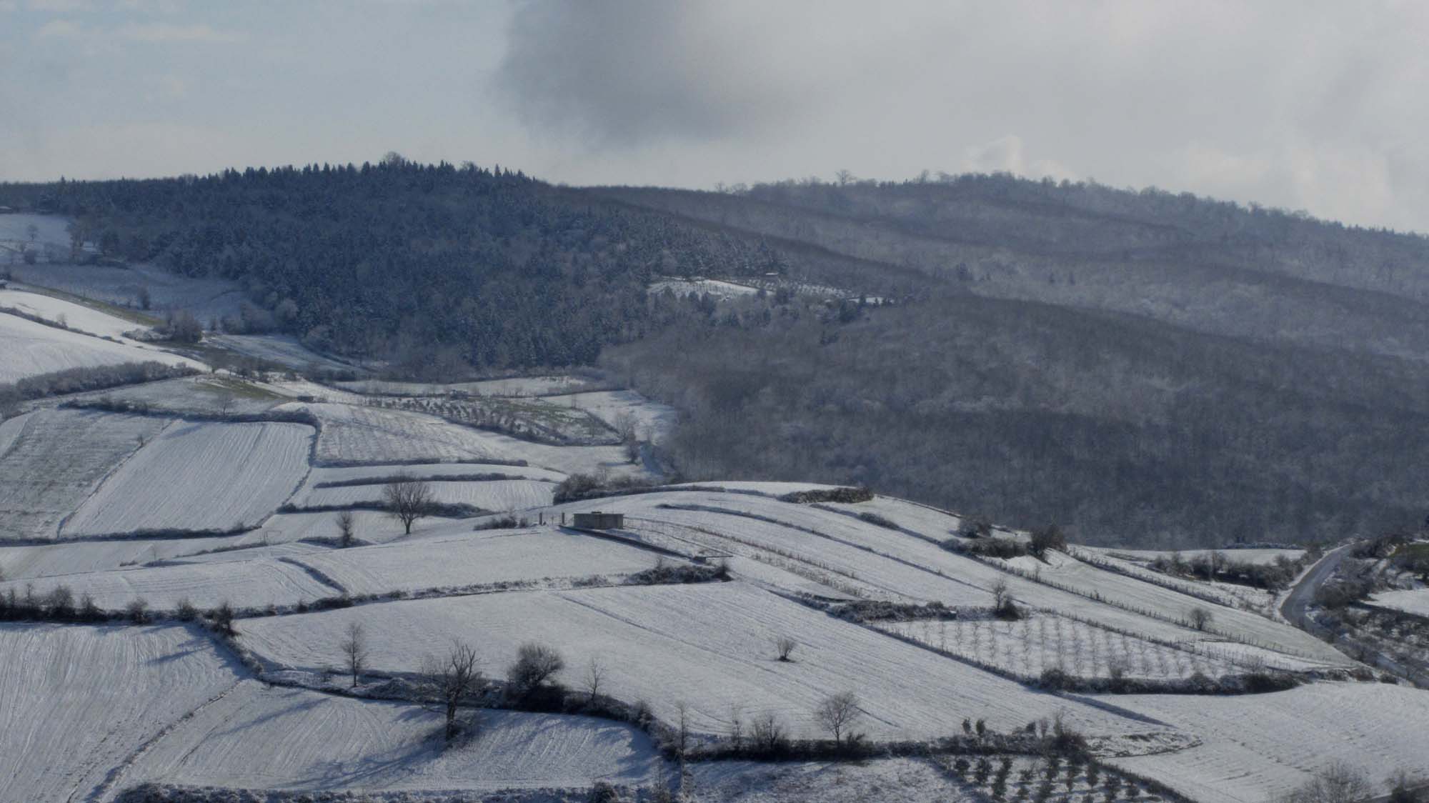 175.JPG (2000×1124)