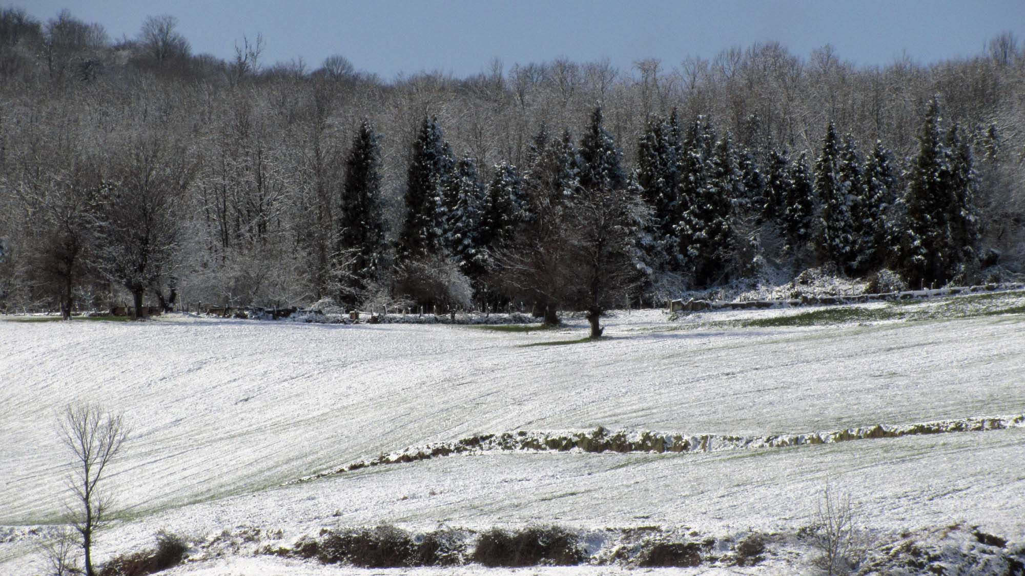 185.JPG (2000×1124)