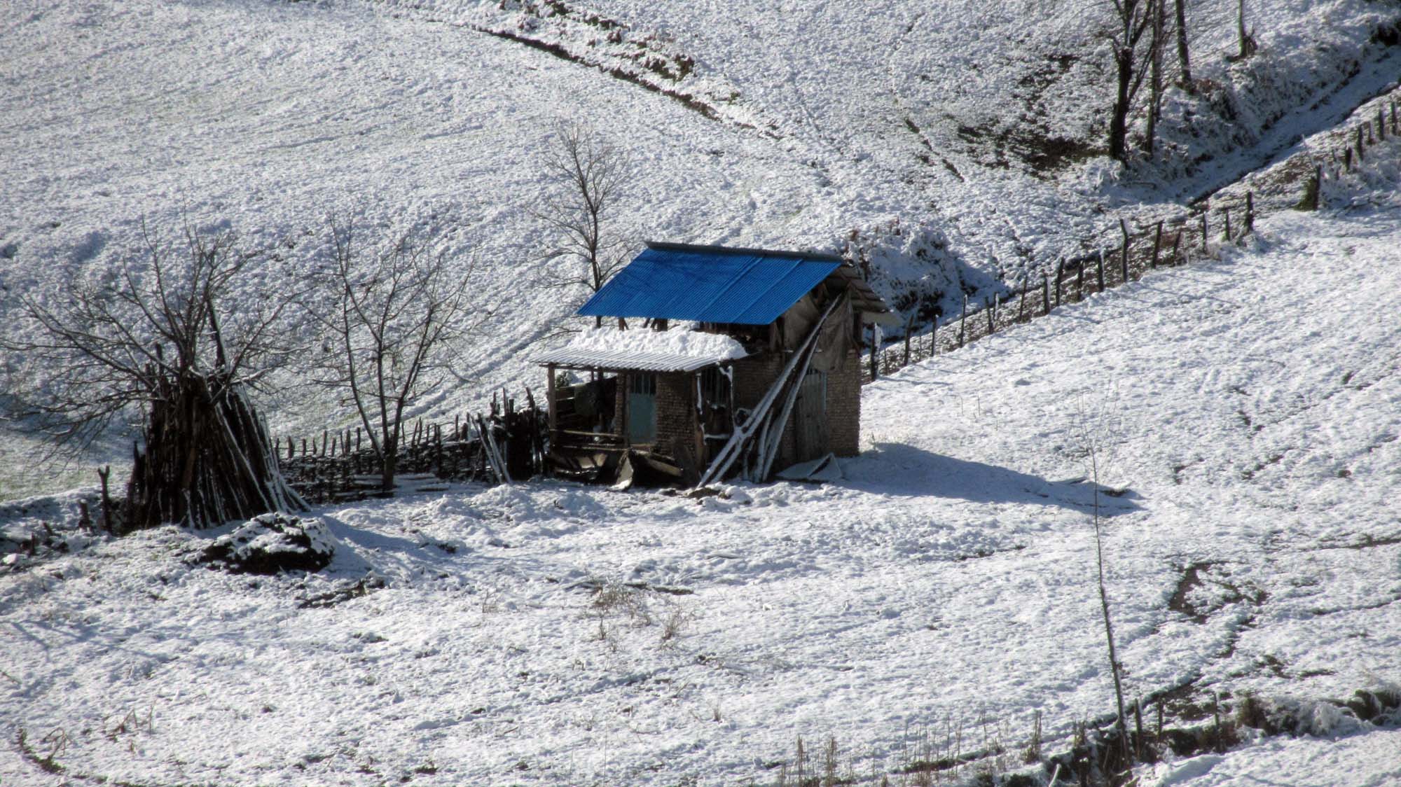 186.JPG (2000×1124)