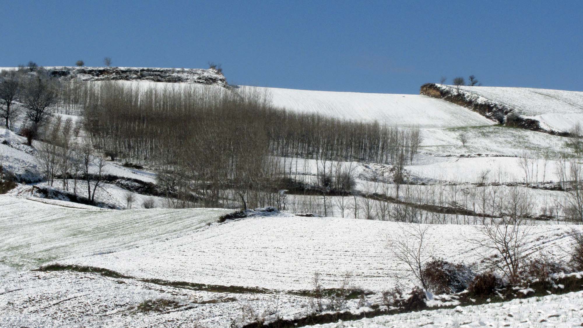 188.JPG (2000×1124)