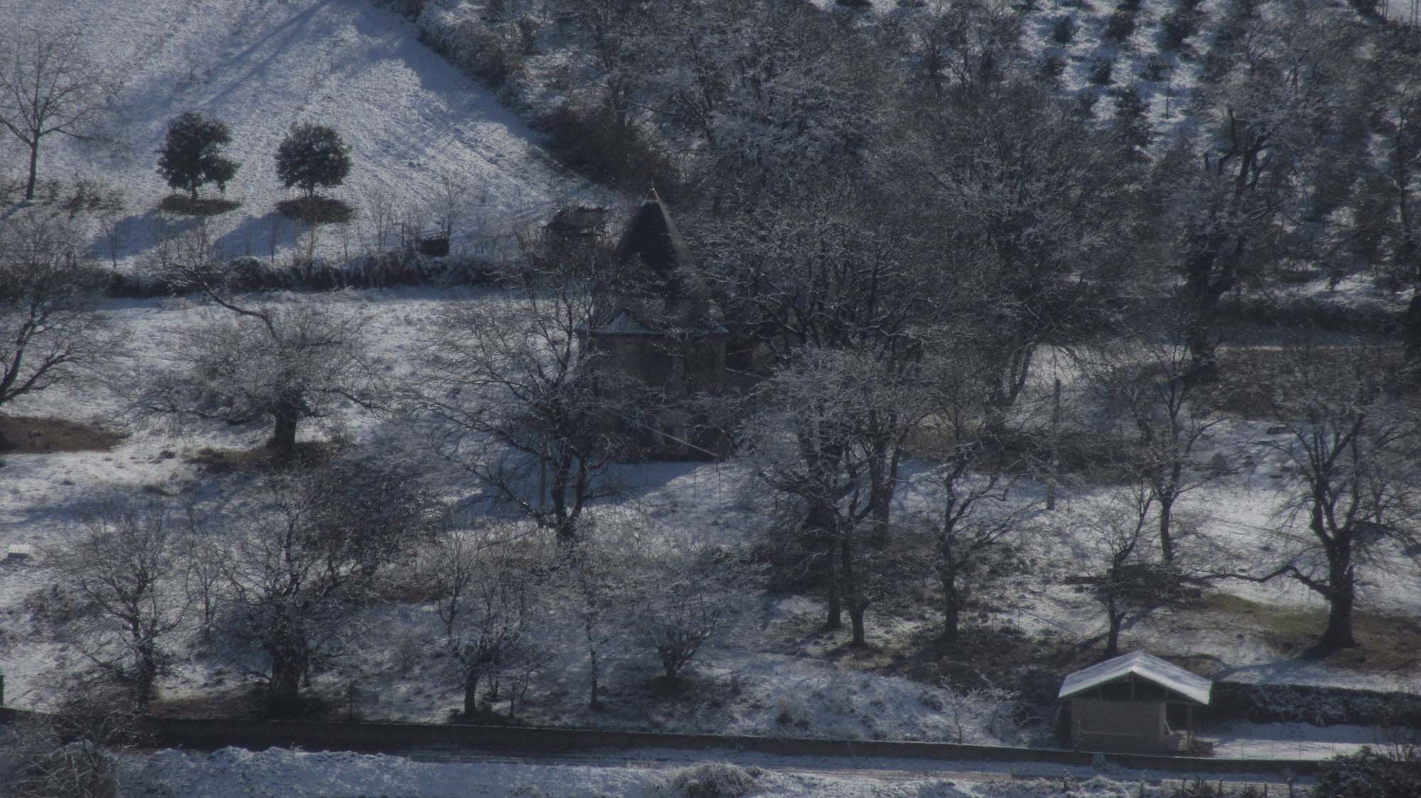 195.JPG (2000×1124)