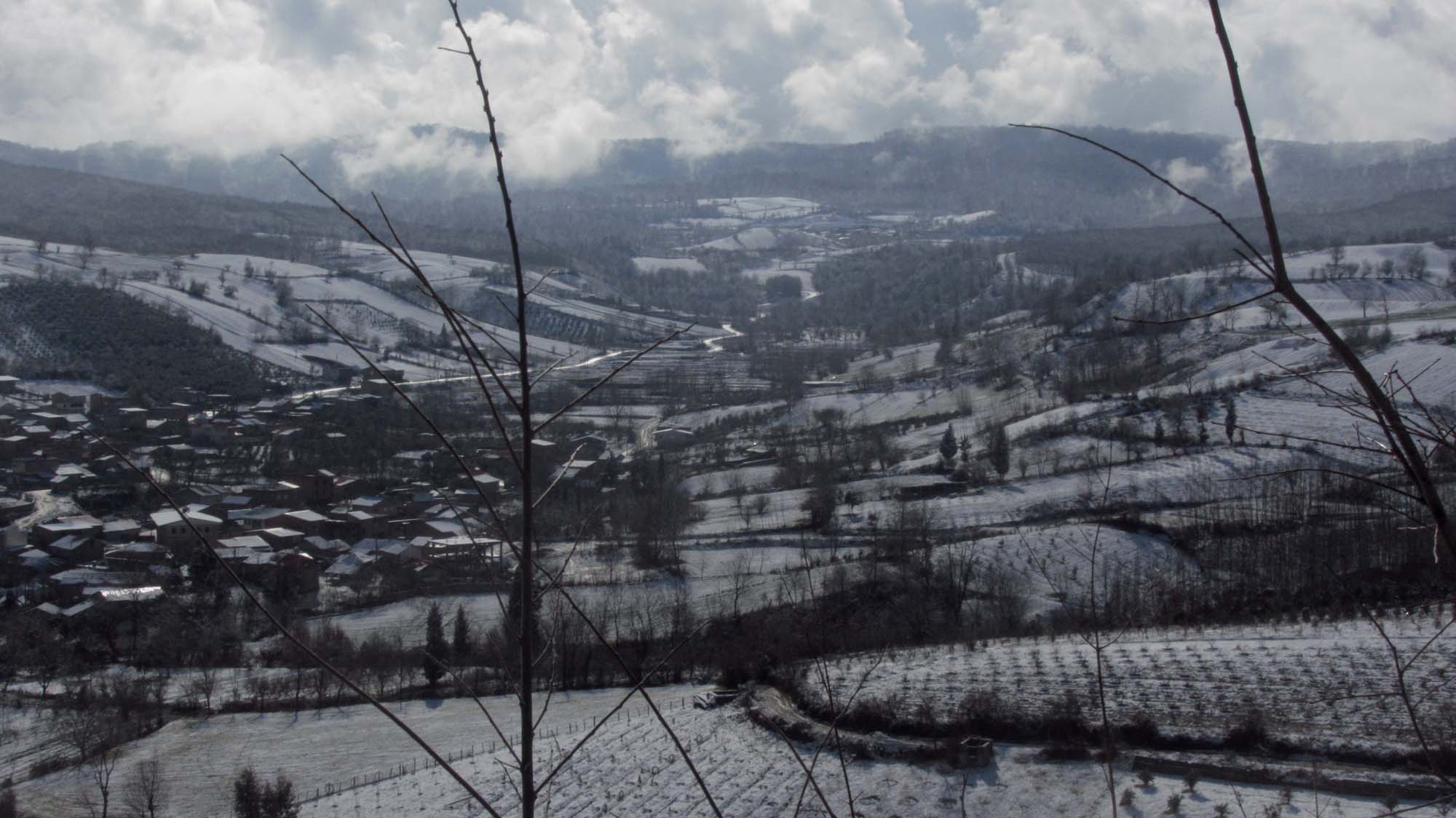 197.JPG (2000×1124)