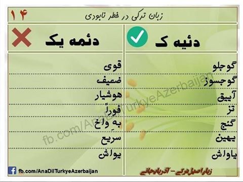 تورکی