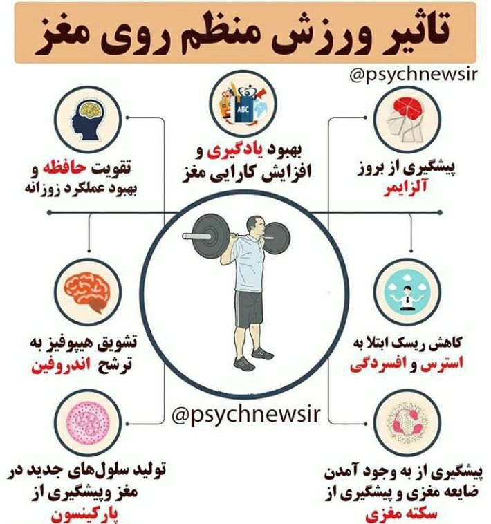 نتیجه تصویری برای مطالب ورزشی