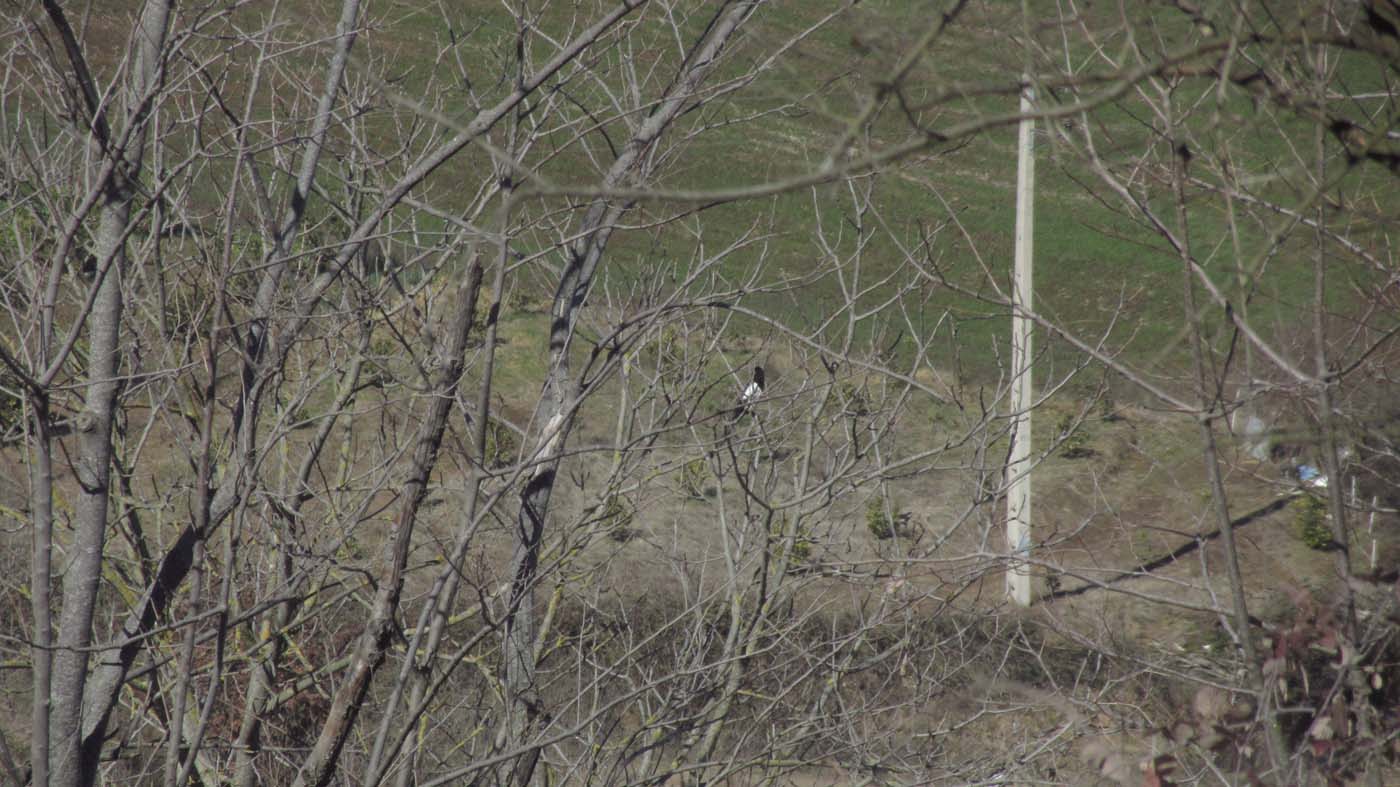 1_5_.jpg (1400×787)