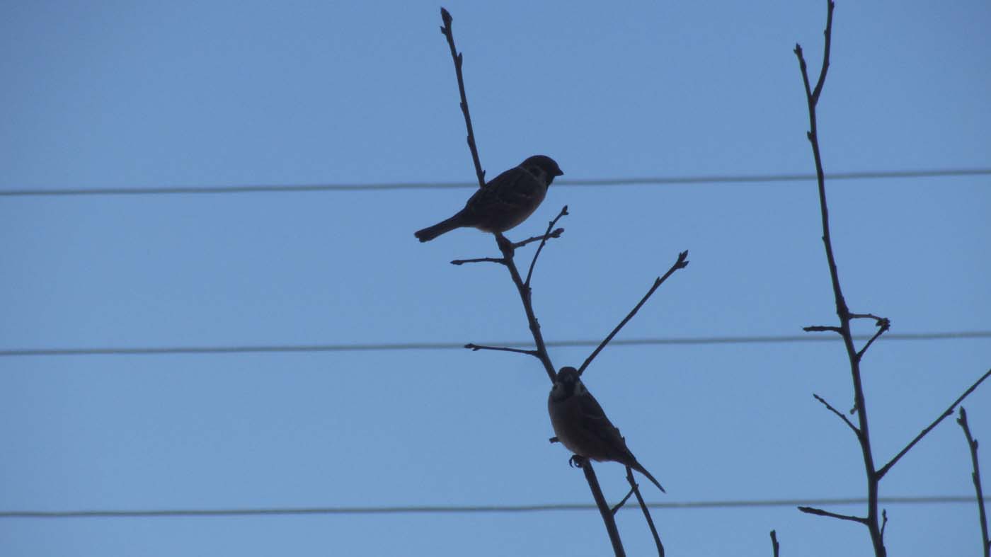 1_15_.jpg (1400×787)