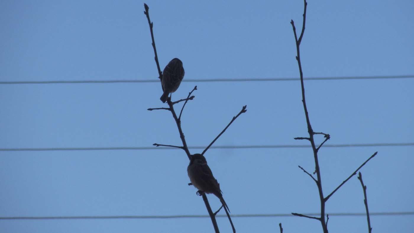 1_16_.jpg (1400×787)