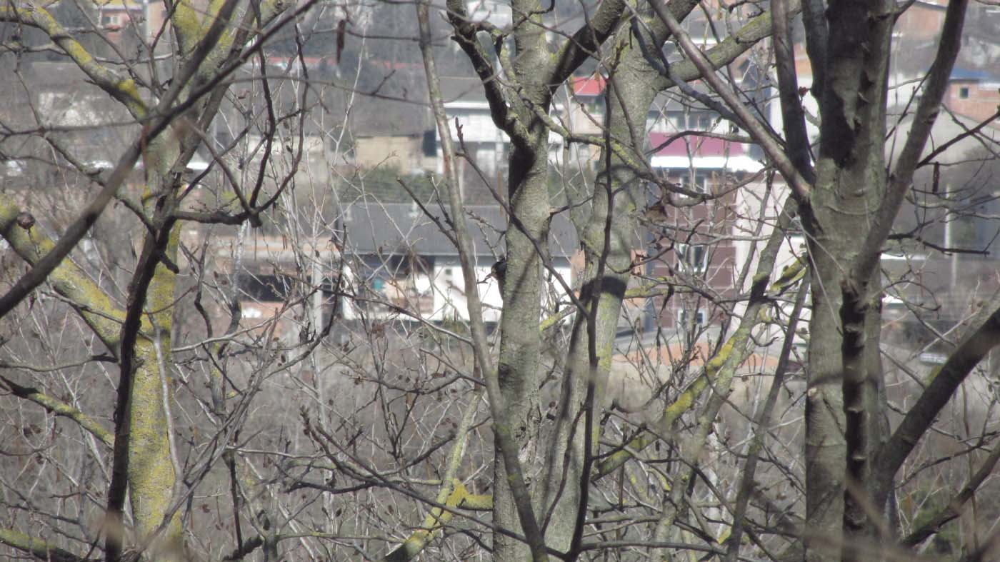 1_25_.jpg (1400×787)