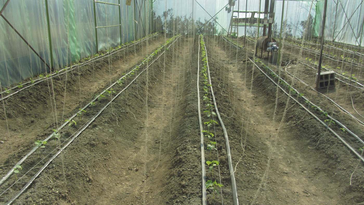 1_28_.jpg (1400×787)