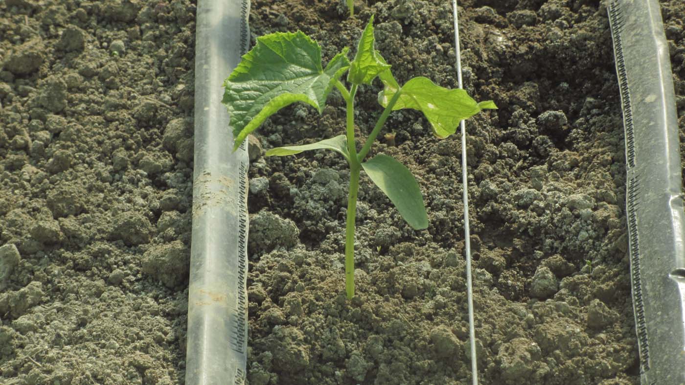 1_31_.jpg (1400×787)