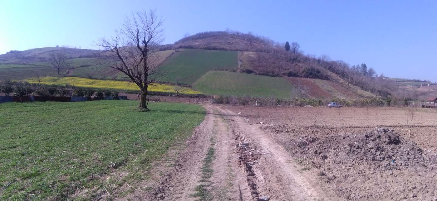 1_39_.jpg (1400×645)