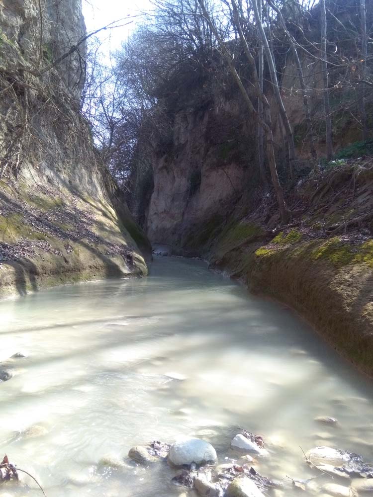 1_43_.jpg (750×1000)