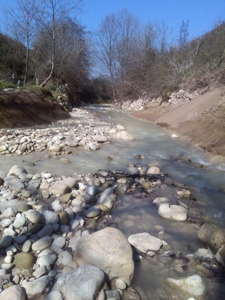 1_44_.jpg (750×1000)