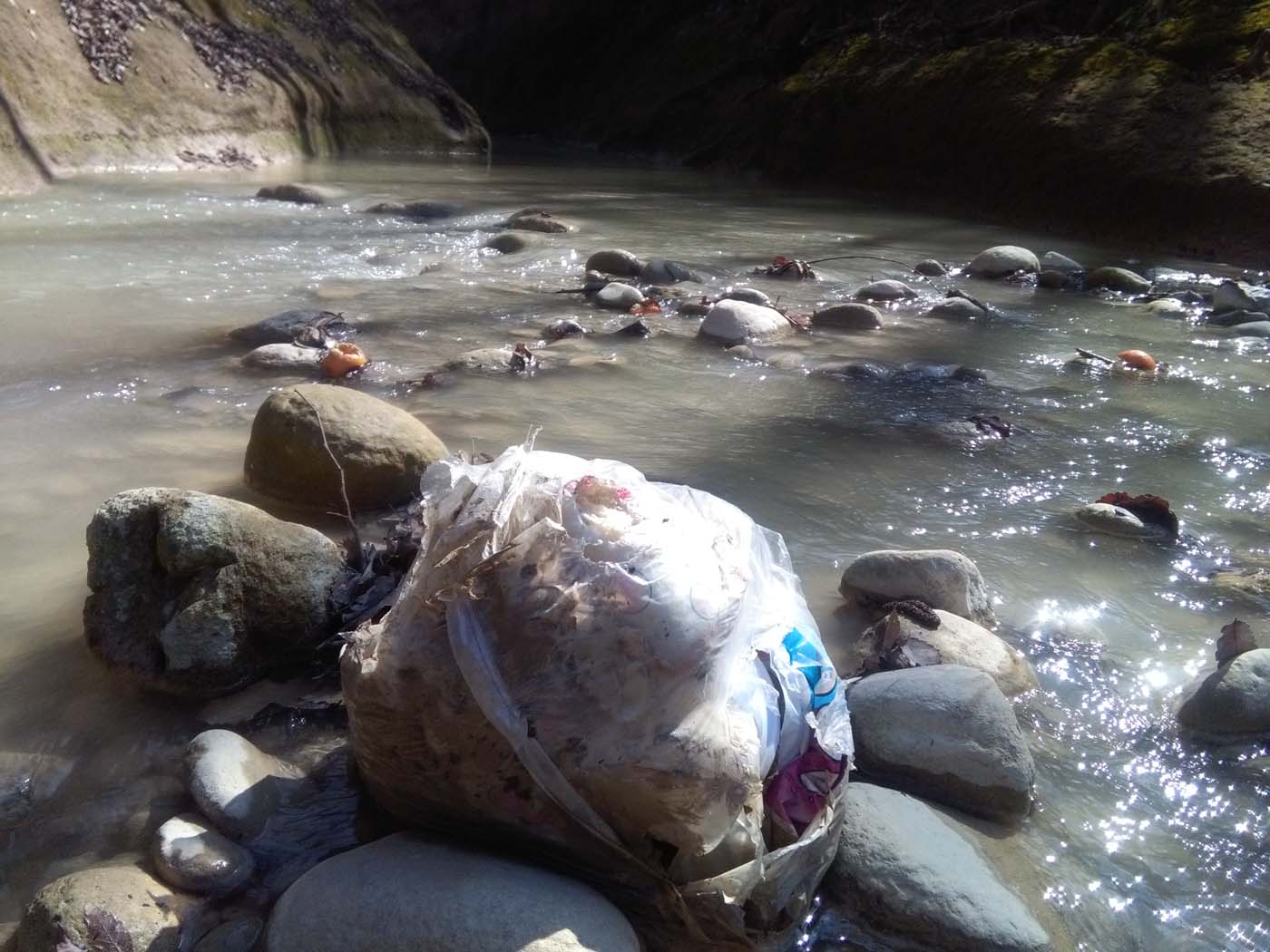 1_47_.jpg (1400×1050)