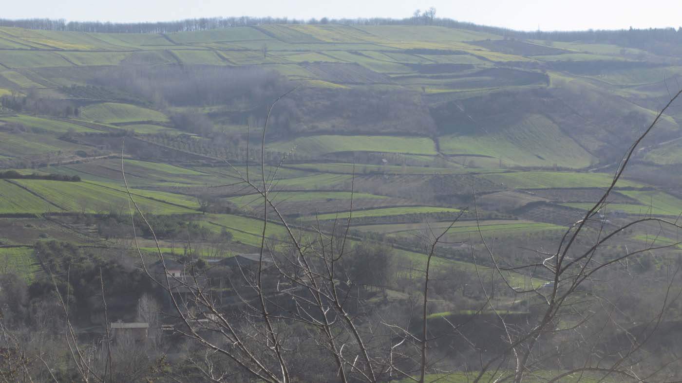 1_49_.jpg (1400×787)