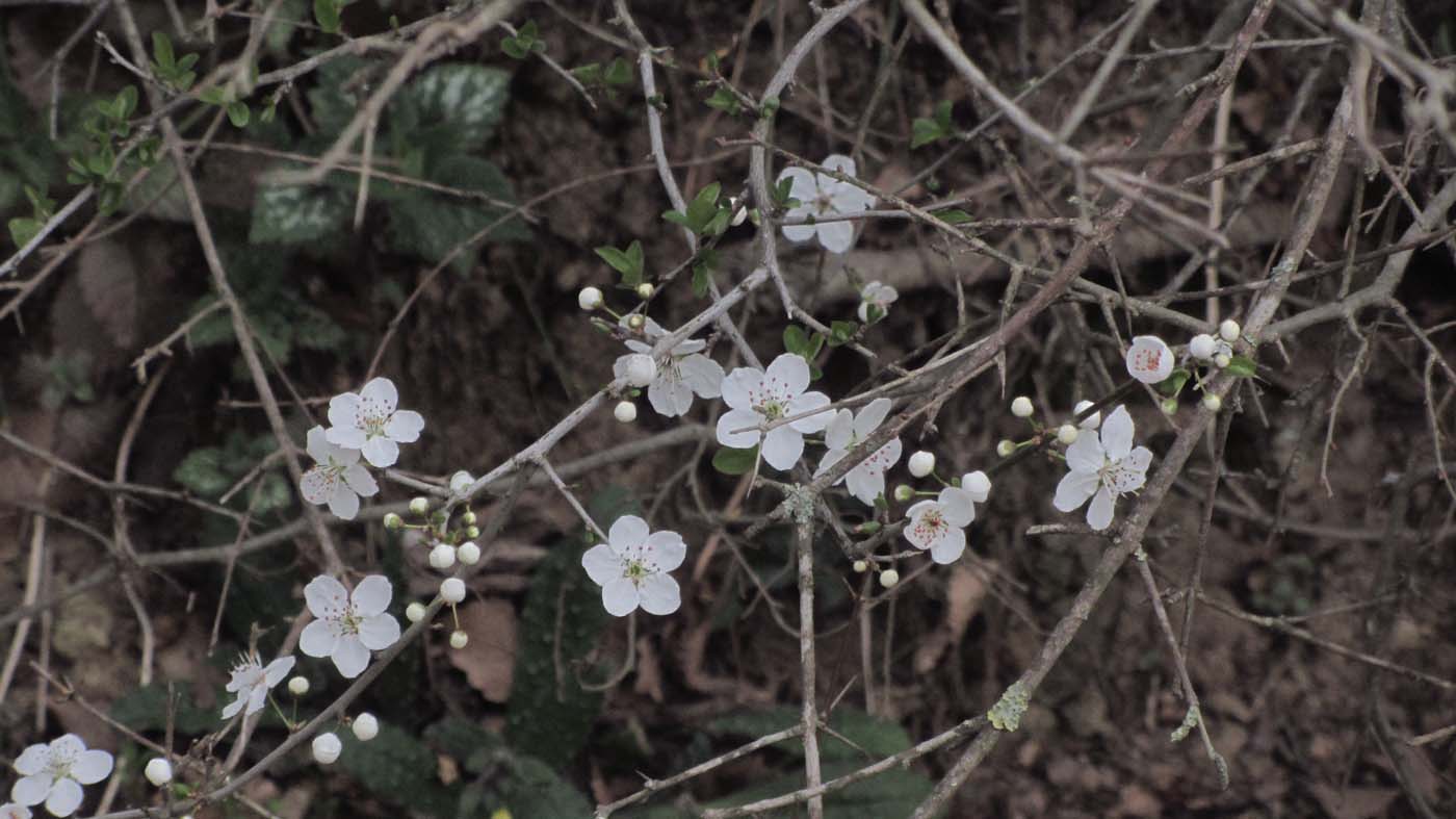 1_53_.jpg (1400×787)