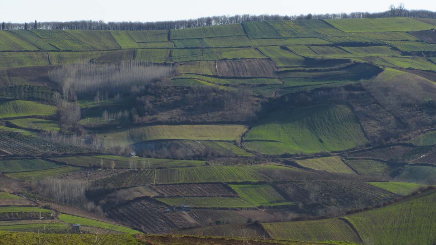 1_57_.JPG (1400×787)