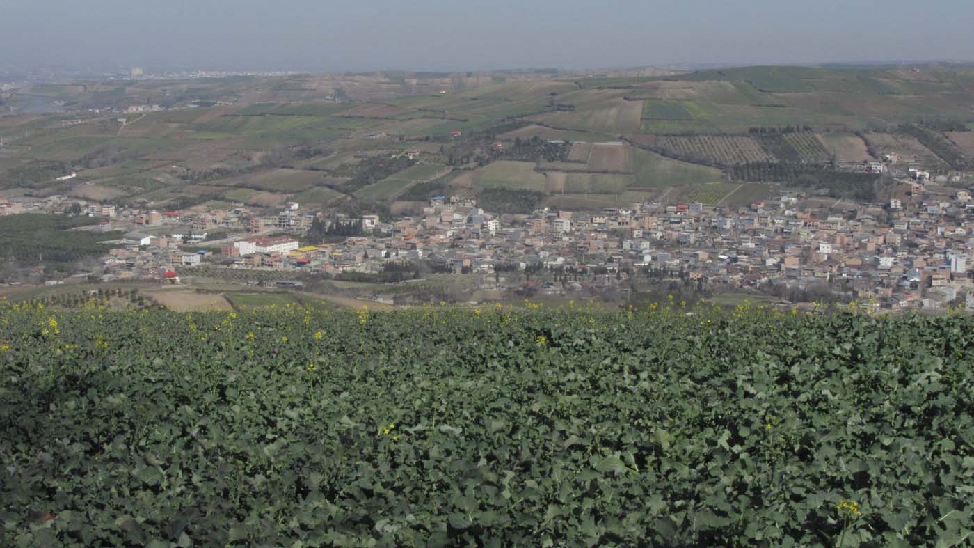 1_66_.JPG (1400×787)