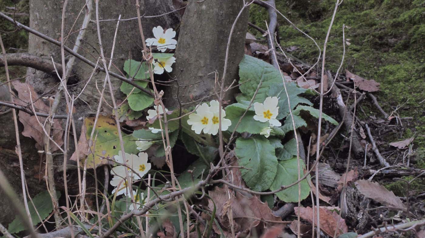 1_86_.JPG (1400×787)