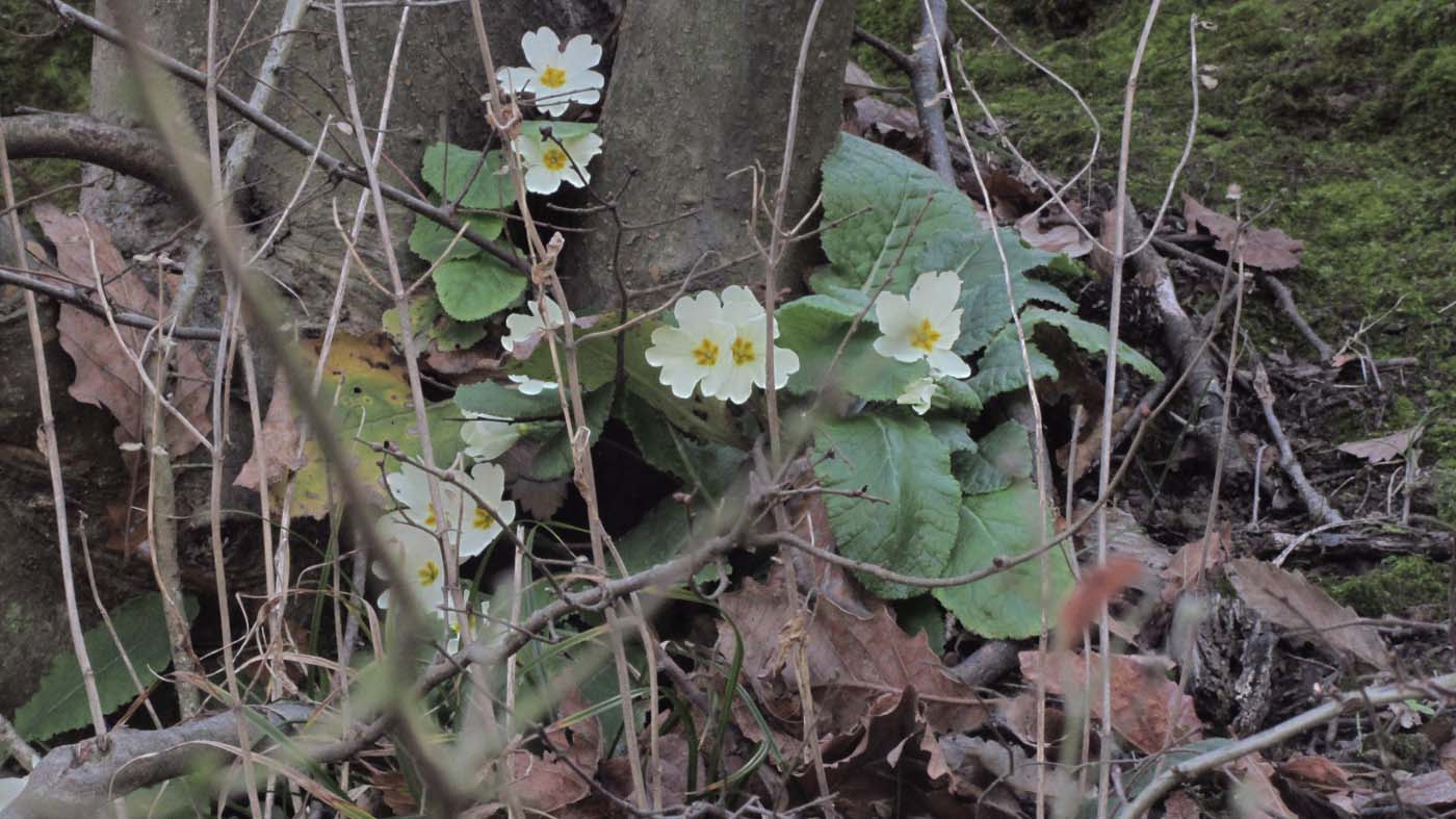 1_87_.JPG (1400×787)