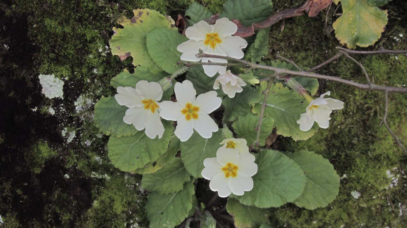 1_88_.JPG (1400×787)