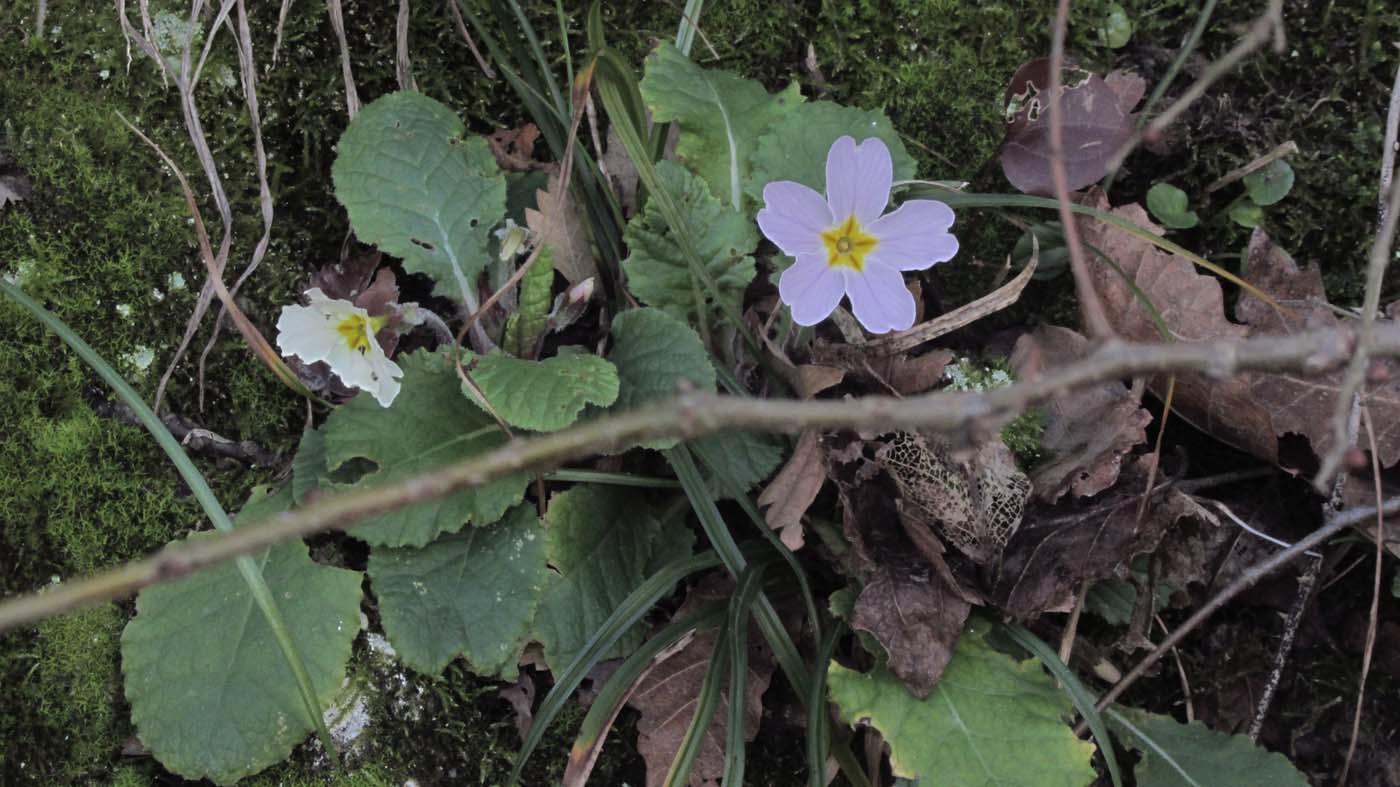 1_90_.JPG (1400×787)