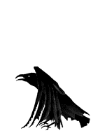 [تصویر:  %DA%A9%D9%84%D8%A7%D8%BA_%D8%B3%DB%8C%D8...Gif_1_.gif]