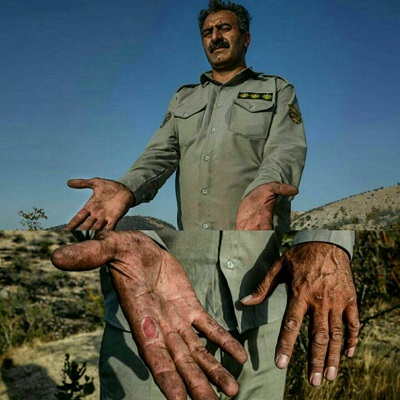 مرتضی نعت پور