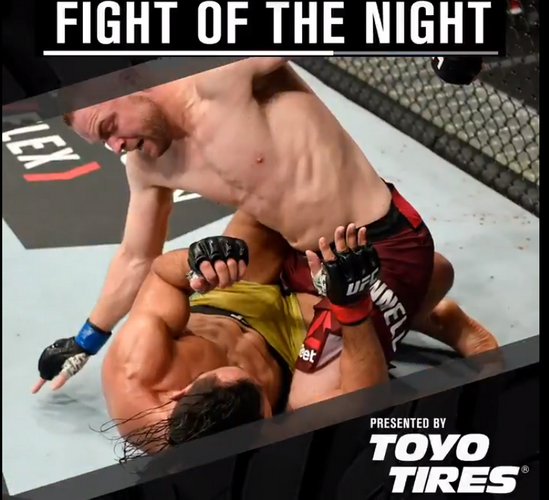 نتایج رویداد : UFC Fight Night: Cowboy vs. Gaethje