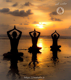 قوانین نیاما ، ریاضت ها و پاکسازی ها