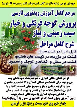 http://s2.picofile.com/file/7639626020/potato_b.jpg