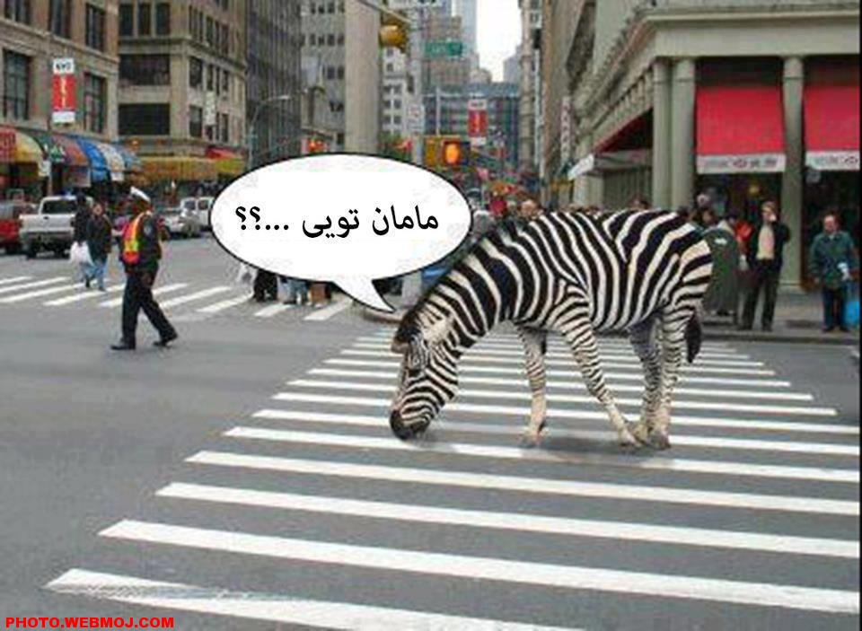 عکس خنده دار افغان